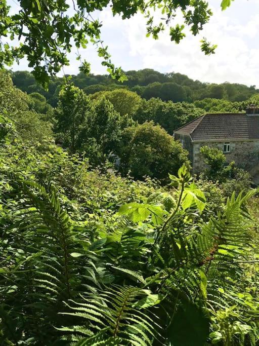 Cosy Retreat In Beautiful Cornwall Helston Dış mekan fotoğraf
